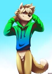 absurdres animal_genitalia bottomless canid canine fox furry highres hoodie male male_only mammal sheath shiuk solo solo_male superabsurd_res swift_fox testicles