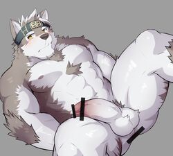 abs anthro balls biceps brown_fur canid canine canis chest_tuft fur headband hi_res horkeukamui lveink male male_only mammal muscular muscular_male pecs penis simple_background solo tokyo_afterschool_summoners tuft video_games white_fur wolf yellow_eyes