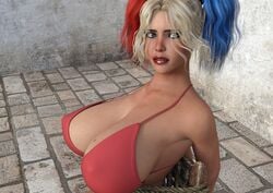 harley quinn from batman (series) by vgbabes3d