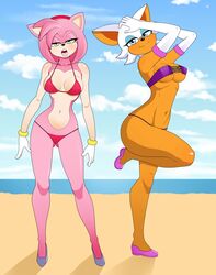 2girls amy_rose anthro beach bikini breasts cleavage duo female female_only furry high_heels png rodjim rouge_the_bat seductive sega sonic_(series) swimsuit teasing thighs