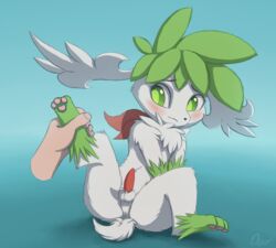 1boy 2019 3_toes ambiguous_gender anonymous_artist anus ass big_eyes blue_background blush chest_tuft disembodied_hand duo feet feral fur furry green_eyes green_fur human interspecies leg_grab legendary_pokemon male male_only nintendo nude original_character pawpads paws penis pokémon_(species) pokemon pokemon_(species) pokemon_dppt raised_leg shaymin shaymin_(sky_form) simple_background sitting solo_focus source_request testicles text thick_thighs tuft video_games watermark white_fur wide_hips