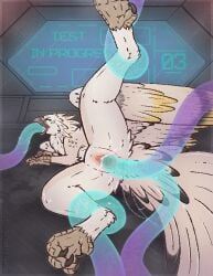 all_three_filled anal anal_sex animated anus avian avian_feet beak bodily_fluids cum eurana_(raveger) feathered_wings feathers feet female feral fur gaping gaping_anus gaping_vagina genital_fluids genitals glowing glowing_tentacles gryphon hi_res laboratory mythological_avian mythological_creature mythology oral oral_penetration penetration sex shadarrius solo spread_legs spreading talons tentacle tentacle_in_ass tentacle_in_mouth tentacle_in_vagina tentacle_penetration tentacle_sex toes translucent triple_penetration vaginal_penetration vulva wings