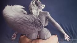 16:9 1boy 1girls 3d_(artwork) 3d_animation 5_fingers anal_wink animated anthro anthro_on_bottom anthro_penetrated anus ass big_penis bodily_fluids butt_grab canid canine canis consistent_pov cum cum_drip cum_explosion cum_from_vagina cum_in_vagina cum_inside cum_pool cum_pooling cumshot detailed detailed_fur digital_media_(artwork) duo ear_piercing ear_ring ejaculation erection excessive_cum excessive_genital_fluids faceless_character female female_anthro female_on_human female_penetrated fingers first_person_view five_nights_at_freddy's five_nights_at_freddy's:_security_breach fluffy foreskin from_behind_position fur furflection genital_fluids genitals grey_body grey_fur hair hand_on_butt huge_filesize human human_on_anthro human_penetrating_female humanoid_genitalia humanoid_penis inside interspecies leaking_cum long_hair long_playtime looking_pleasured loop lying male male/female male_human male_on_anthro male_penetrating male_penetrating_female male_pov mammal nude on_bottom on_front open_mouth orgasm penetration penile penile_penetration penis penis_in_vagina piercing pov prone_bone_position pull_out realistic_fur ring_piercing roxanne_wolf_(fnaf) scottgames sex sex_after_cumming sound spread_butt spreading steel_wool_studios tagme tail tail_motion tail_tuft teeth tongue tongue_out tuft vaginal_fluids vaginal_penetration vaginal_tugging video widescreen wolf