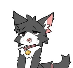1ambiguous 2d 2d_animation ambiguous_gender ambiguous_penetration bell bouncing bouncing_penis brown_eyes catto_haruki_(artist) character_request closed_eyes collar collar_bell copyright_request drool drooling feline fur loop looping_animation no_sound panting pleasure_face pleasured riding riding_penis sex solo steamy_breath sweat sweatdrop sweating tagme tail video