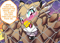 avian balls beak blush chain-link_fence clothing fence furry furry_only girly gryphon horny looking_at_viewer male male_only no_humans open_mouth outdoors outside penis pheasy_the_gryphon_(character) pink_eyes solo solo_male text thong tongue tongue_out white_crest yaoi