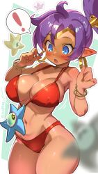shantae (character) from shantae by life is pi