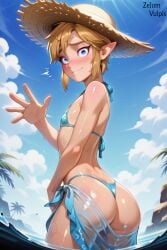 link from the legend of zelda by zelum vulpis
