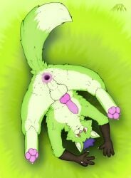 absurd_res anal anthro anus ass awoope balls canid canine canis erection fur gaping gaping_anus genitals green_body green_fur hair hands hi_res knot knotted_penis lubed lubed_anus lying_on_ground male mammal nature nature_background nude nude_anthro on_ground pawpads paws penis penis_tip purple_hair satisfied shaded solo spread_legs spreading submissive tail wolf