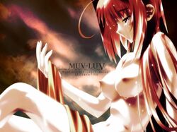 kagami_sumika muv-luv tagme