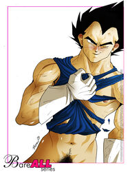 bara dragon_ball dragon_ball_z male male_only muscles rena_sama solo tagme vegeta