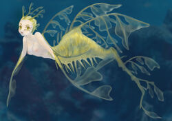 anthro breasts leafy_seadragon non-mammal_breasts seahorse tagme yellow_eyes