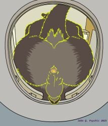 anthro anus ass backsack balls body_hair butt_focus butt_hair echo_(game) echo_(series) echo_project genitals glans hi_res humanoid_genitalia humanoid_penis john_q._psychic low-angle_view male mammal mustelid otter peeing penis perineum pink_anus sitting solo sydney_bronson toilet toilet_seat toilet_use worm's-eye_view