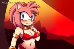 2d 2d_(artwork) 2d_artwork ai_art ai_generated amy_rose bare_arms bare_legs bare_midriff bare_shoulders bare_thighs belly_button bikini bikini_top black_collar black_spiked_collar blue_ear_piercing blue_ear_ring blue_earring blue_earrings blush blush_lines bracelet chain_leash chained chained_collar chained_up chains cleavage collar ear_piercing ear_ring earring earrings eyelashes gold_(metal) gold_bracelets gold_jewelry gold_shoulder_pads golden_bracelets green_eyes hairband hedgehog hedgehog_ears hedgehog_girl hedgehog_humanoid hedgehog_nose hedgehog_tail hourglass_figure hourglass_figured_female leash leash_and_collar leash_pull leashed_collar leashed_female loincloth metal_collar midriff mobian mobian_(species) mobian_hedgehog mobians.ai navel pink_fur pink_hair pink_quills red_bikini red_bikini_top red_hairband red_loincloth short_hair shoulder_pads slave slave_bikini slave_collar slave_outfit slavegirl small_boobs small_breasts sonic_(series) sonic_the_hedgehog_(series) spiked_collar spiked_shoulder_pads sweat sweatdrop sweating sweating_breasts sweating_female sweaty sweaty_body sweaty_breasts sweaty_butt sweaty_legs sweaty_thighs