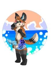 3:4 absurd_res anthro ball_tuft balls blue_penis blush bottomwear canid canine clothing embarrased_horny embarrassed erection fluke_fox fox genitals hi_res knot male mammal penis shorts sole_male solo solo_male spazywolf swimming_trunks swimwear tuft