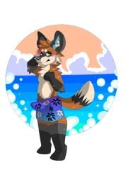 3:4 absurd_res anthro blush bottomwear canid canine clothing embarrased_horny embarrassed erection erection_under_clothing fluke_fox fox genitals hi_res knot male mammal penis shorts sole_male solo solo_male spazywolf swimming_trunks swimwear tuft