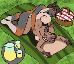 anthro ass_up canid canine dank-artistic-fox doggy_style duo exhibitionism female fox from_behind_position generation_7_pokemon hi_res hips_grab male male/female mammal nintendo nude picnic pokemon pokemon_(species) rockruff sex zoro_hierro