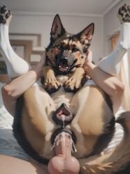 ai ai_generated anal anal_sex blush blushing canid canine cum_in_ass cum_in_pussy dog domestic_dog duo eyes feral feral_penetrated furry german_shepherd holding_head human humanoid_genitalia humanoid_penis male/female open sex zoophilia