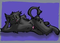 absurd_res animal_humanoid anthro balls bent_legs cat_humanoid digital_media_(artwork) domestic_cat erection felid felid_humanoid feline feline_humanoid felis fluffy fur genitals green_eyes grey_body grey_fur hand_on_leg hand_on_own_leg hand_on_own_thigh hand_on_thigh hi_res humanoid looking_at_viewer lying male mammal mammal_humanoid nude on_side penis simple_background solo tail teasing tongue tongue_out voidkat