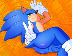 sonic the hedgehog from sonic (series) by tweezalton