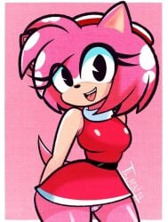 amy_rose arms_behind_back diego_mejia dress female furry looking_at_viewer panties sega smile sonic_(series) tail