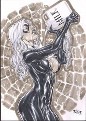 2015 abstract_background big_breasts black_cat_(marvel) black_clothing breasts closed_eyes curvy dated ed_benes_studio felicia_hardy female female_only fred_benes fur human liquid long_hair marvel mask milk milk_jug pinup pouring pouring_on_self signature solo spider-man_(series) superheroine tight_clothing voluptuous wet wet_clothes white_fur white_hair zipper zipper_pull_tab