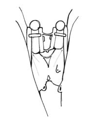 2boys balls ballsack black_and_white chastity chastity_cage chastity_device flat_chastity_cage frottage frotting gay monochrome penis penises_touching precum precum_on_penis precum_string small_penis sweat sweat_string sweatdrop sweating sweaty sweaty_balls touching_penises unseen_character yaoi