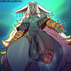 rauru (tears of the kingdom) from tears of the kingdom by reallambfan