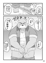 2019 after_masturbation anthro balls belly blush clothing comic cum hi_res humanoid_hands japanese_text juuichi_mikazuki kumacchi male male_only mammal morenatsu navel overweight overweight_male pants penis shirt solo text topwear translation_request ursid