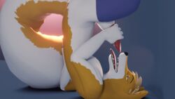 3d animated anthro autofellatio balls canid canine clothing erection fox fur gif jigglebonez leggings legwear lokio male male_only mammal masturbation open_mouth oral oral_masturbation orange_fur penile penile_masturbation penis simple_background solo stockings thigh_highs tongue tongue_out white_fur