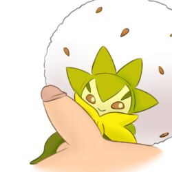 1boy ambiguous_gender eldegoss eye_contact flora_fauna ghostlewds hand_on_leg huge_penis human interspecies larger_male looking_at_another male male_pov mammal nintendo nude penis plant pokémon_(species) poképhilia pokemon pokemon_ss pov simple_background size_difference video_games