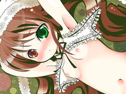 breasts brown_hair color female heterochromia long_hair navel nipples rozen_maiden small_breasts solo suiseiseki takamoto_akisa