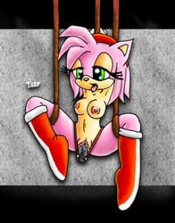 amy_rose beige_skin bondage color dildo female female_only fur furry hedgehog innocenttazlet mammal nipples pink_fur sex_toy solo sonic_(series) spread_legs straight_hair suspended suspension tongue tongue_out