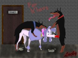 1girls 2boys bow canine collar cum desoto_(disney) disney doberman dog domestic_dog female feral feral_on_feral feral_penetrated feral_penetrating feral_penetrating_feral georgette lucky_(artist) male mammal oliver_and_company oral oral_sex penis poodle roscoe_(disney) straight threesome