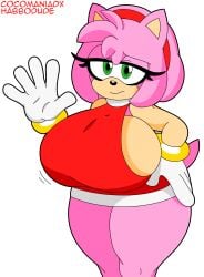 1female 1girls amy_rose big_boobs big_breasts big_tits cocomaniadx female female_only habbodude hedgehog huge_breasts mobian_(species) pink_skin solo solo_male sonic_(series) sonic_the_hedgehog_(series) thick_breasts thick_thighs thighs