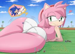 amy_rose giant_female panties semi_nude sonic_the_hedgehog