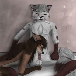 absurd_res anthro anthro_on_anthro arctic_fox athletic balls bathing black_nose bodily_fluids brown_body brown_fur brown_hair canid canine canis chest_tuft claws closed_eyes covered_breasts cum cum_drip cum_in_mouth cum_inside detailed detailed_background detailed_fur digital_media_(artwork) dipstick_ears dipstick_tail dripping duo ear_markings ejaculation elvira_(michalinovic) erection eyebrows facial_markings fellatio female fluffy fluffy_tail fondling fox fur fur_markings genital_fluids genitals gimp_(artwork) glans glans_in_mouth glans_play glansjob gloves_(marking) hair happy happy_sex head_markings hi_res humanoid_genitalia humanoid_hands humanoid_penis intense_orgasm intraspecies jarek_(michalinovic) leg_markings licking long_hair looking_pleasured love lying lying_on male male/female mammal markings michalinovic multicolored_body multicolored_ears multicolored_fur multicolored_tail on_front open_mouth oral orgasm orgasm_face penile penis penis_in_mouth penis_lick red_fox romantic romantic_ambiance romantic_couple romantic_sex saliva sex shower shower_sex showering sitting socks_(marking) tail tail_markings teeth tender tongue true_fox tuft wet wet_body white_body white_fur white_hair