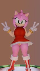 3d amy_rose presenting_pussy pussy twintails3d