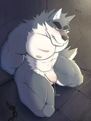 abs anthro balls biceps canid canine canis captured casual_nudity cheese12367 flaccid foreskin fur genitals hi_res humanoid_genitalia humanoid_hands humanoid_penis male mammal manly muscular muscular_anthro muscular_male navel nipples nude pecs penis prison solo tail wolf