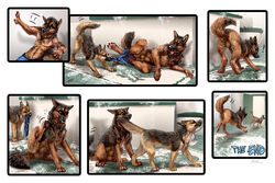 2017 balls black_fur brown_fur canid canine canis detailed_background domestic_dog duo feral fur male mammal sabretoothed_ermine transformation water