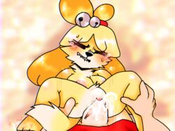 2019 3_toes 5_fingers animal_crossing anthro bell big_breasts bite biting_lip blush breasts canid canine canis chatnoirxx_(artist) clitoris clothed clothing cum cum_in_pussy cum_inside domestic_dog dripping duo ejaculation erection female feral fur glistening grip hair heart human humanoid_penis isabelle_(animal_crossing) lips looking_pleasured male mammal nintendo nude orgasm partially_clothed penetration penis pussy pussy_juice self_bite sex shih_tzu shirt simple_background straight sweat thick_thighs thrusting toes tongue topwear toy_dog vaginal_penetration video_games villager_(animal_crossing) watermark