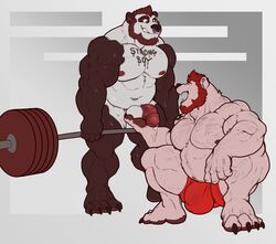 2018 2boys anthro arcas balls barazoku barbell beard big_muscles bodily_fluids body_writing bulge clothing duo exercise facial_hair facial_piercing flaccid gay genital_fluids genitals giant_panda hair hi_res humanoid_genitalia humanoid_penis male male_only mammal musclegut muscular muscular_anthro muscular_male navel nightterror nipples nose_piercing nude penis piercing precum sweat underwear ursid weightlifting workout yaoi