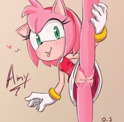 1girls amy_rose anthro anus ass blush bottomless_skirt breasts female female_only furry going_commando leg_lift no_panties oversleeper pussy pussy_juice skirt skirt_lift small_breasts sonic_(series) sonic_team tongue tongue_out