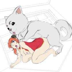 1girls alternate_breast_size bestiality blue_eyes breasts breasts_out bun_cover chinese_clothes dog doggy_style feral feral_on_female feral_on_human feral_penetrating gintama kagura_(gintama) medium_breasts no_bra no_panties orange_hair sadaharu tongue_out white_background white_fur zoophilia