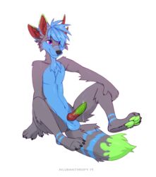 2019 ailuranthropy anthro balls blue_fur blue_hair canid canine fur green_pawpads grey_fur hair knot male male_only mammal pawpads penis purple_eyes simple_background sitting solo white_background