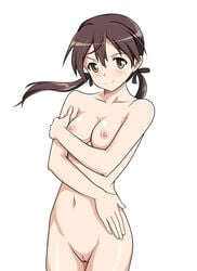 blush breasts brown_eyes brown_hair closed_mouth collarbone eyebrows_visible_through_hair female gertrud_barkhorn hair_ornament hair_ribbon innie_pussy looking_at_viewer medium_breasts medium_hair monousa navel nipples nude pussy ribbon shiny shiny_hair shiny_skin simple_background solo standing strike_witches twintails white_background world_witches_series