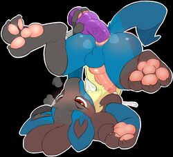 lucario from nintendo by backsash
