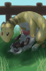1boy 1girls ampharos bent_over big_penis blue_eyes blush bovid caprine clitoris duo erection feet female fence feral feral_on_feral feraltwi furry grass green_background half-closed_eyes hooves interspecies larger_male lying male mammal nintendo nude on_back on_top outdoors outside penis pinned pokémon_(species) pokemon pokemon_(species) pokemon_gsc pokemon_ss precum pussy pussy_juice pussyjob rubbing sheep smaller_female standing straight sweat tapering_penis text video_games watermark white_fur wooloo yellow_fur