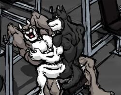 2017 5_fingers anthro ass balls biped black_body black_fur black_nose canid canine canis chair closed_eyes closed_smile domestic_dog dominant dominant_anthro dominant_male duo fingers fluffy fluffy_tail fur fur_tuft furniture genitals grey_body grey_fur gym gym_equipment hands_behind_head husky kctk laugh lying male male/male mammal mouth_closed multicolored_body multicolored_fur muscular muscular_anthro muscular_male nordic_sled_dog nude_anthro nude_male on_back on_chair on_lap open_mouth open_smile raised_arms sean_(unstablebill) sitting sitting_on_another sitting_on_chair sitting_on_lap smile snout spitz submissive submissive_anthro submissive_male tail tail_tickle tickle_fetish tickling tickling_armpits tickling_balls tickling_genitalia tongue tuft two_tone_body two_tone_fur white_body white_fur white_inner_ear wolf