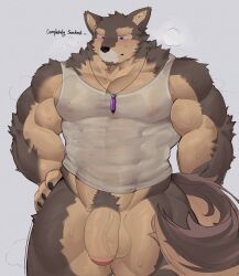 2024 abs anthro barazoku biceps big_muscles big_penis biped brown_body brown_fur canid canine canis clothing domestic_dog flaccid foreskin fur genitals glans hi_res huge_muscles humanoid_genitalia humanoid_penis jewelry lleeffff male mammal muscular muscular_anthro muscular_male necklace pecs penis pubraseer purple_eyes shirt solo standing tank_top topwear vein veiny_penis wet wet_body wet_clothing white_clothing white_shirt white_tank_top white_topwear