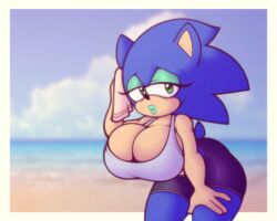 anthro beach big_breasts breasts cocomaniadx rule_63 sonic_the_hedgehog sonique_the_hedgehog spandex_shorts sports_bra thick_thighs